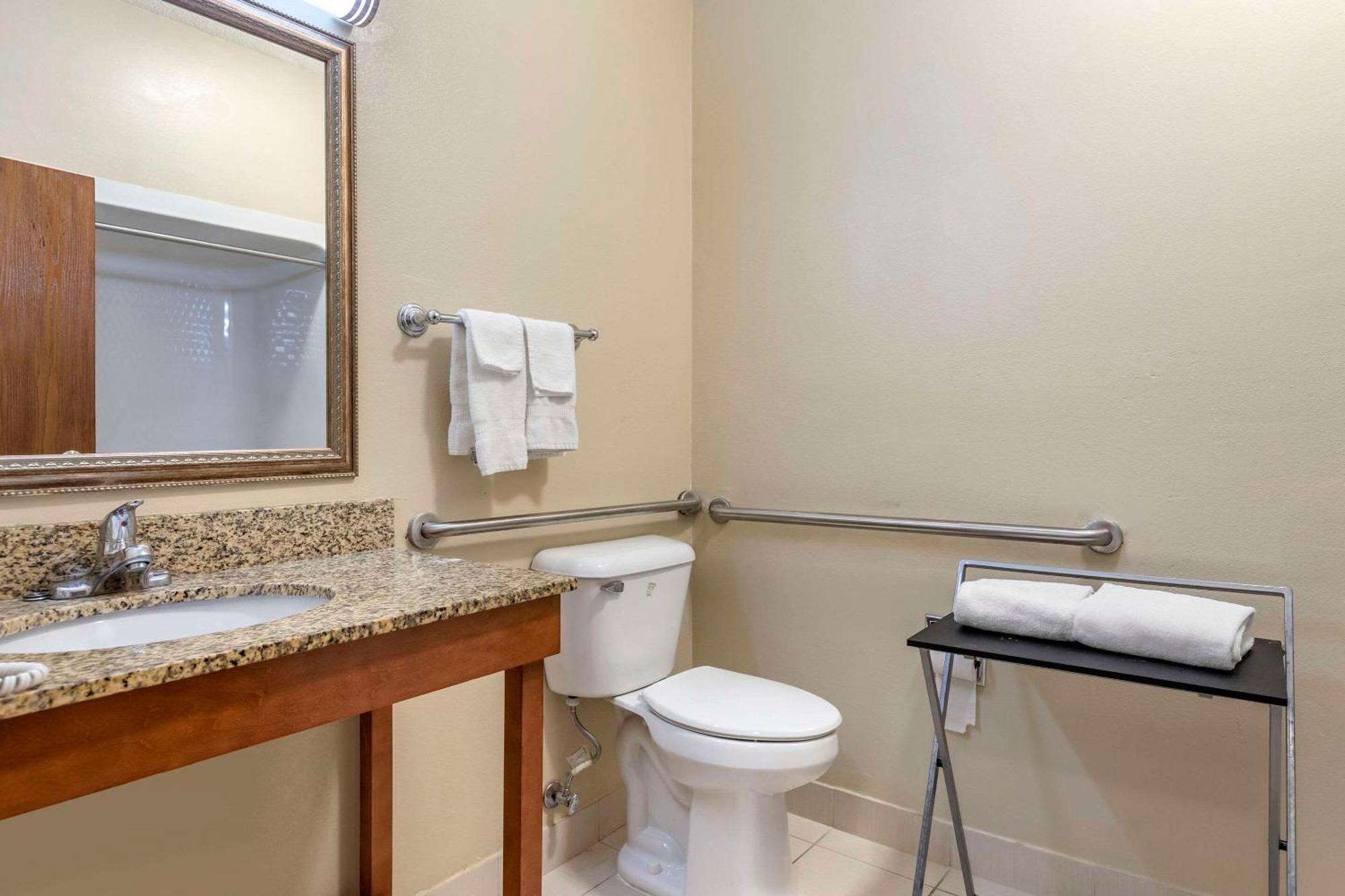 Comfort Suites Auburn Hills-Detroit Bagian luar foto